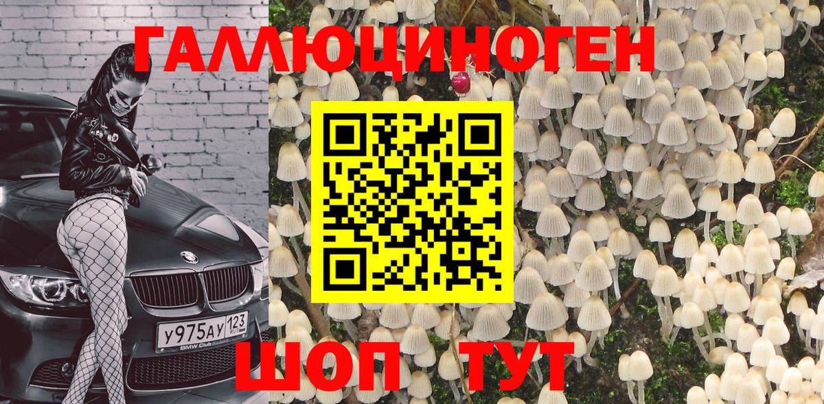 Псилоцибиновые грибы мицелий Салехард